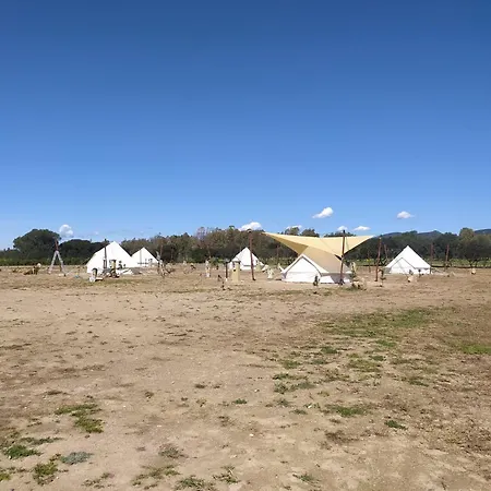 キャンプ場 La Contea SantʼAnna Arresi