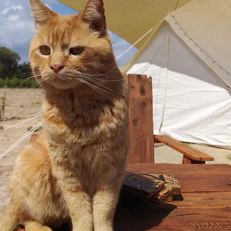 La Contea * SantʼAnna Arresi